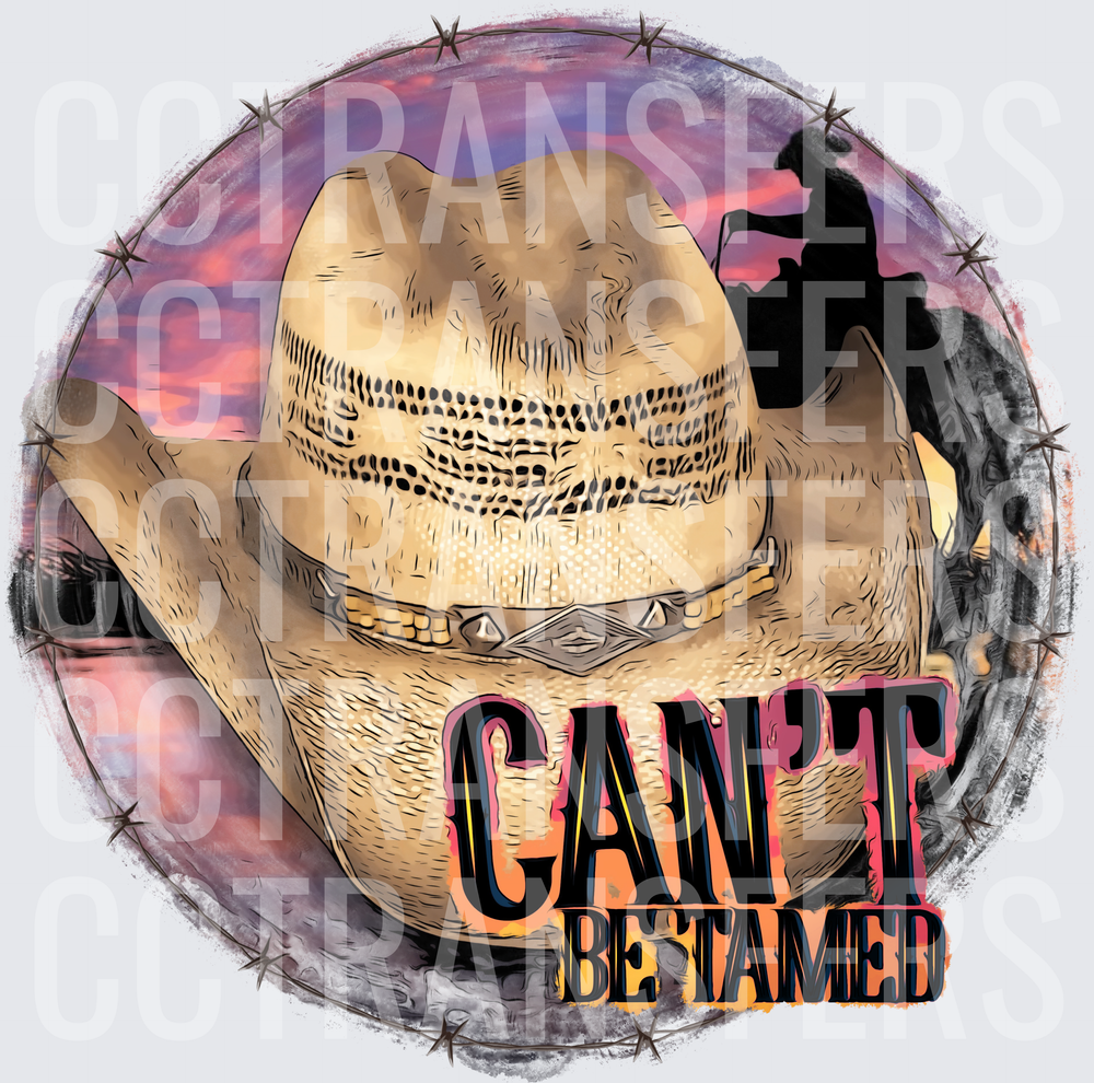 Can't Be Tamed Straw Cowboy Hat Rodeo Sunset (DTF)