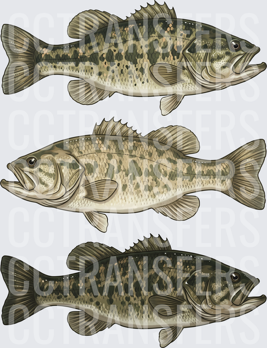 Three Realistic Largemouth Bass Fish Illustration (DTF)