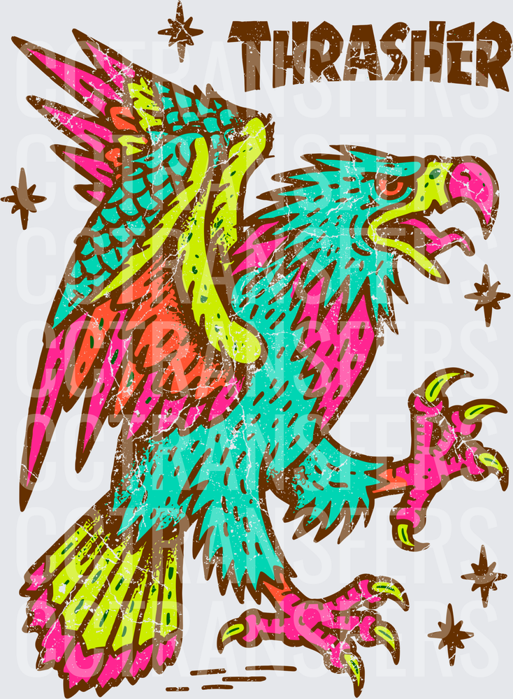 Thrasher Neon Retro Distressed Eagle Graphic (DTF)
