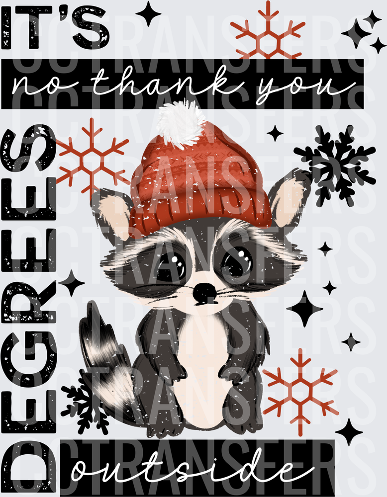 It's No Thank You Degrees Outside Cute Raccoon Santa Hat (DTF)