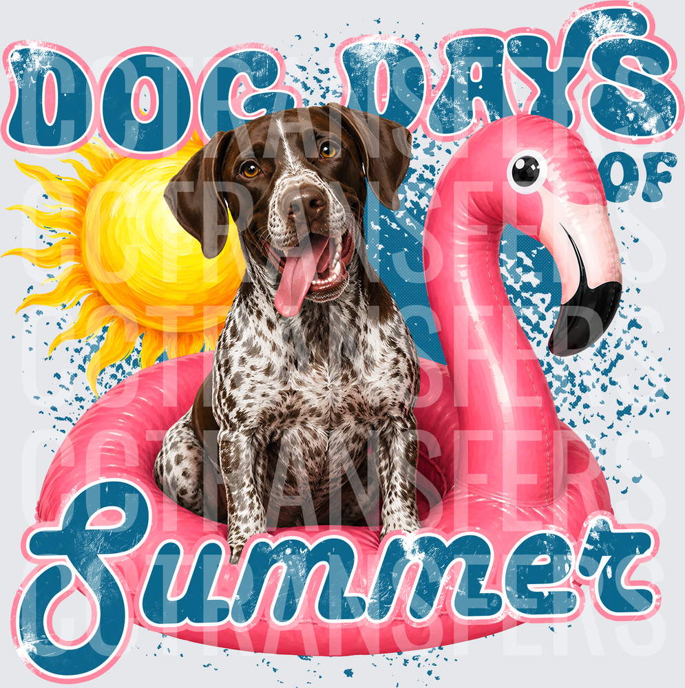 Dog Days of Summer Pointer on Flamingo Float (DTF)