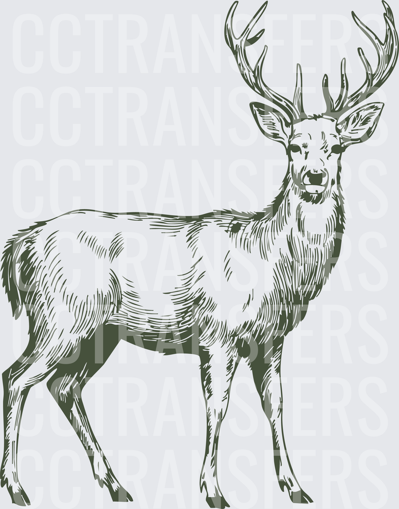 Vintage Sketch Buck Deer with Large Antlers (DTF)
