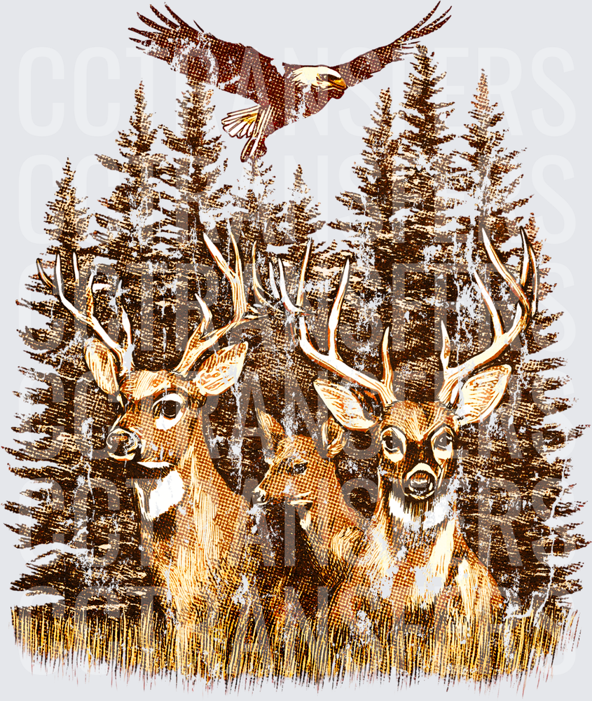 Two Buck Deer and Soaring Bald Eagle Pine Forest (DTF)