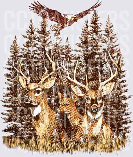 Two Buck Deer and Soaring Bald Eagle Pine Forest (DTF)