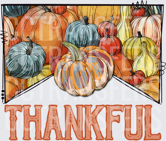 Thankful Colorful Pumpkin Harvest Patch (DTF)
