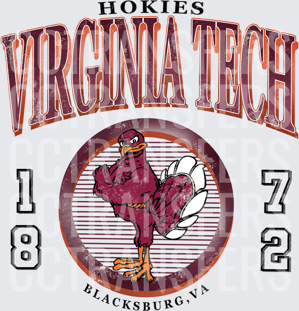 Hokies Virginia Tech 1872 Blacksburg VA Bird Mascot (DTF)