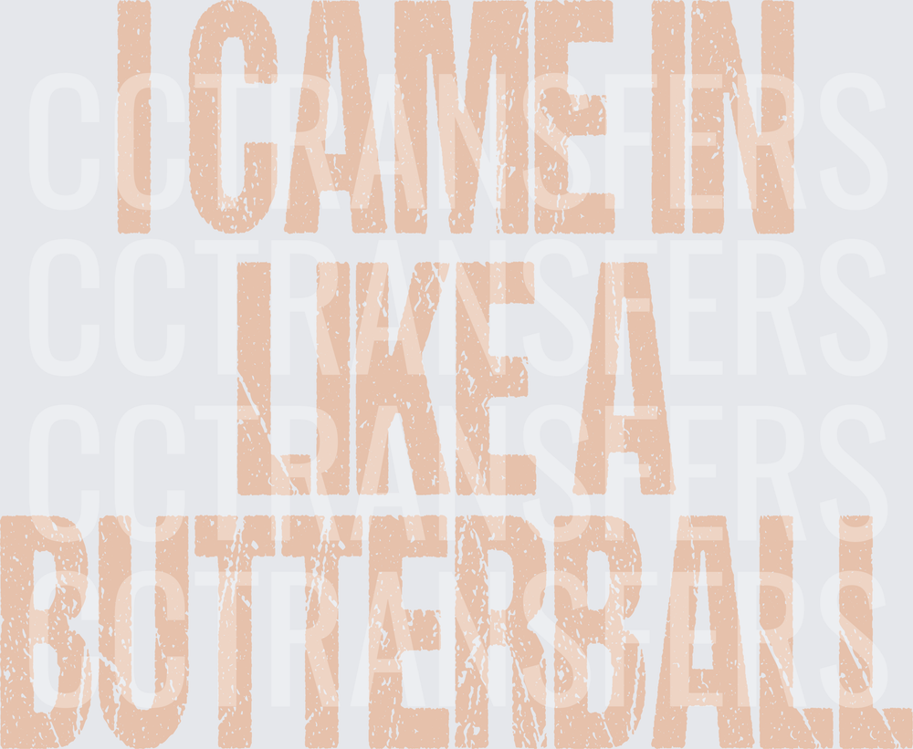 I Came In Like A Butterball Distressed Text (DTF)