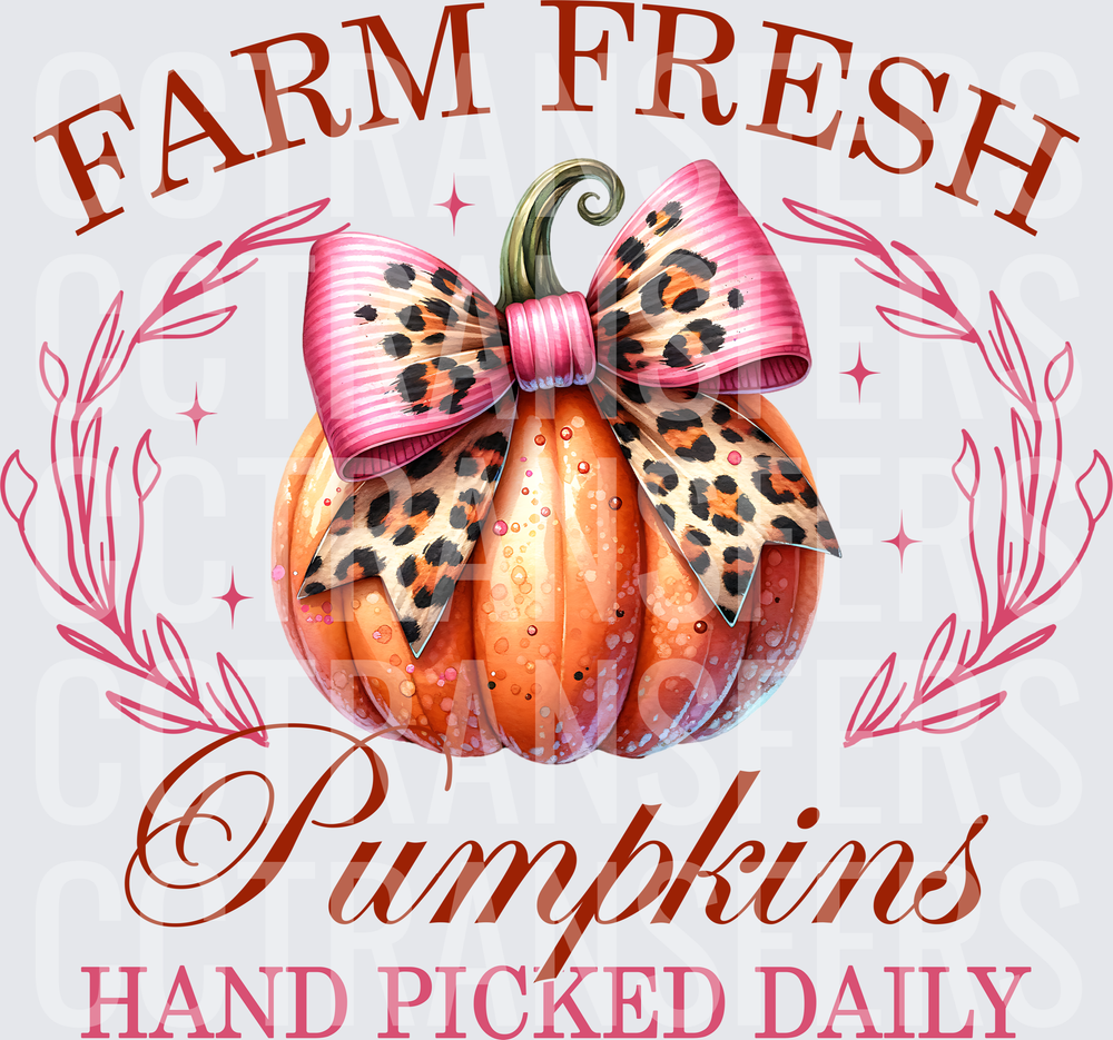 Farm Fresh Pumpkins Hand Picked Daily