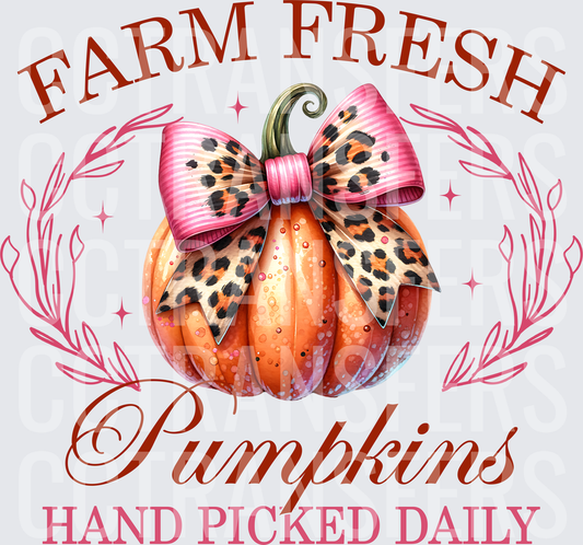 Farm Fresh Pumpkins Hand Picked Daily