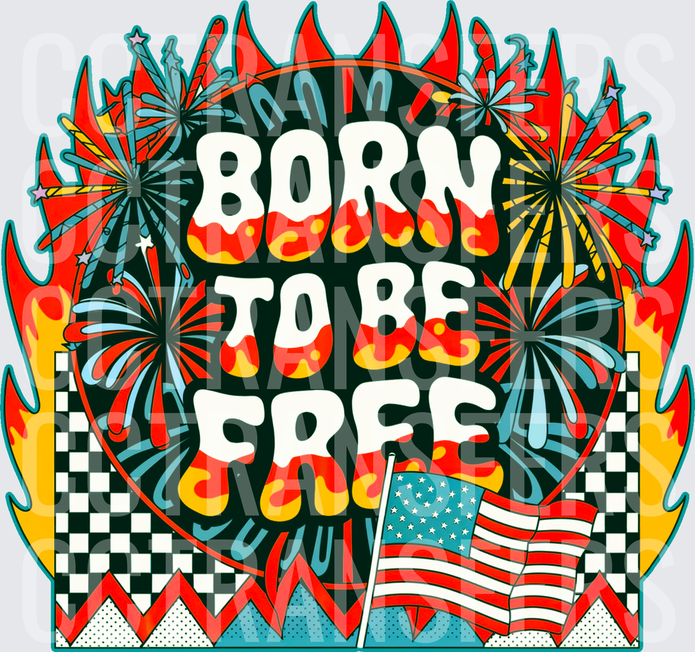 Born To Be Free Retro Fireworks American Flag (DTF)
