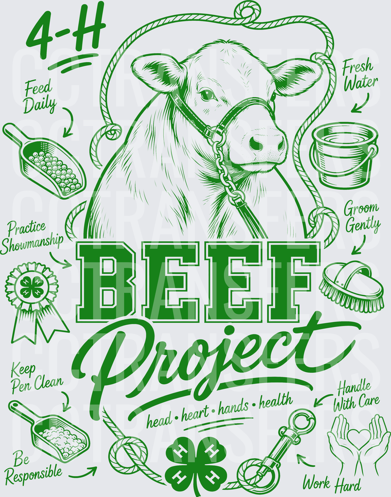 4-H Beef Project Head Heart Hands Health Show Steer (DTF)