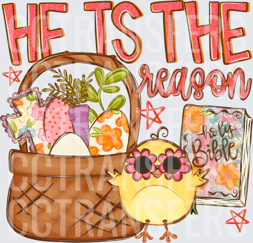 He Is The Reason Easter Basket Chick Holy Bible (DTF)