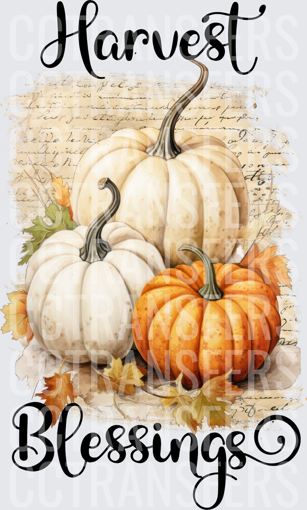 Harvest Blessings White Orange Pumpkins Fall Leaves (DTF)