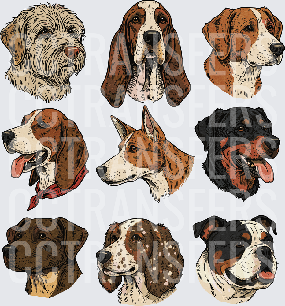 Nine Dog Breed Portrait Collection Illustrated Set (DTF)
