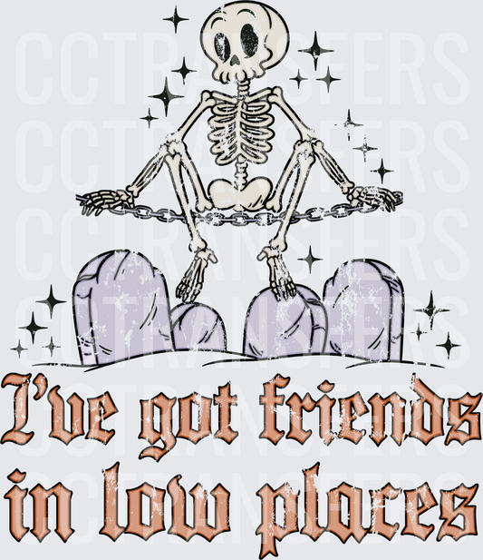 I've Got Friends In Low Places Skeleton Graveyard (DTF)