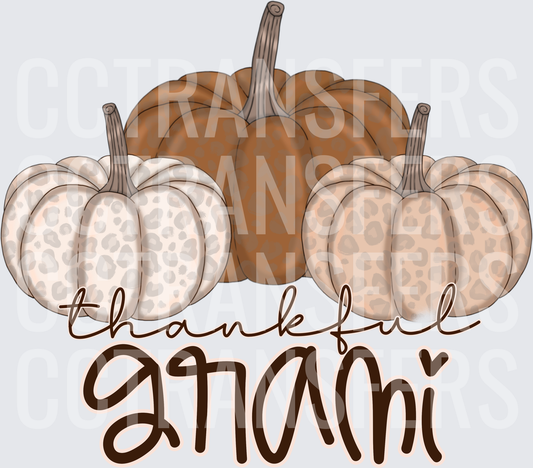 Thankful Gnami Leopard Print Pumpkin Trio (DTF)