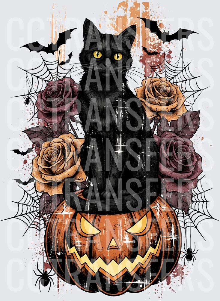 Black Cat on Jack-O-Lantern with Roses Bats Spiderwebs (DTF)