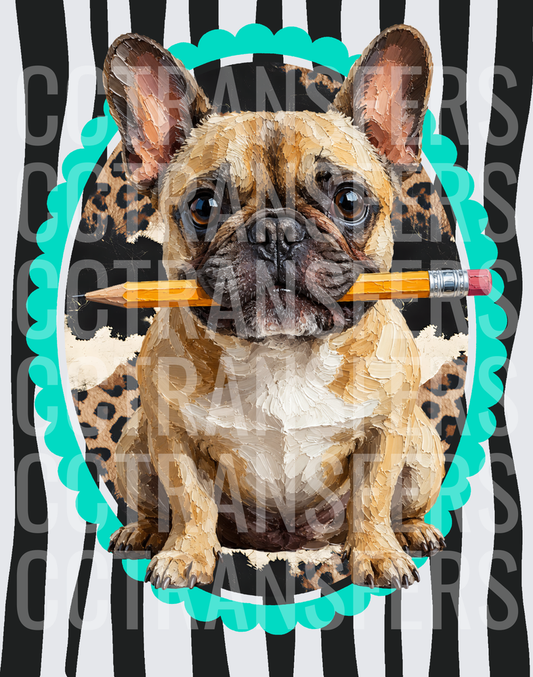 Fawn French Bulldog Holding Pencil Teal Scallop Frame (DTF)