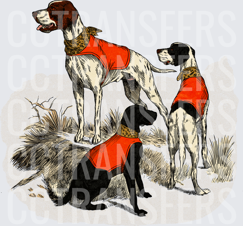 Vintage Hunting Dogs in Red Vests Outdoor Scene (DTF)