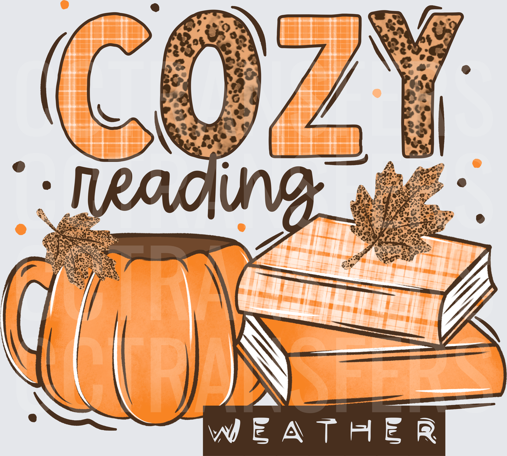 Cozy Reading Weather Fall Books Pumpkin Mug Leopard Plaid (DTF)