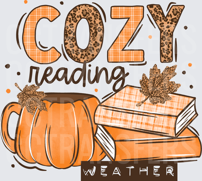 Cozy Reading Weather Fall Books Pumpkin Mug Leopard Plaid (DTF)
