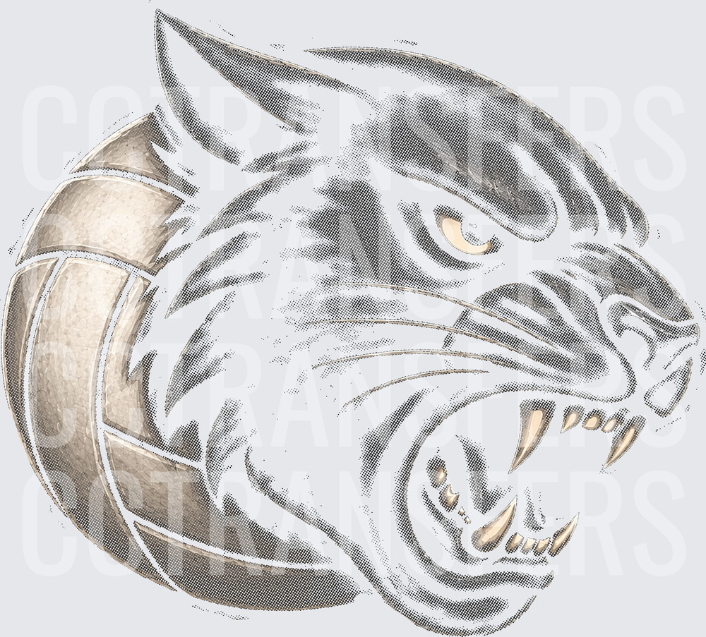 Fierce Growling Wildcat Head with Volleyball (DTF)