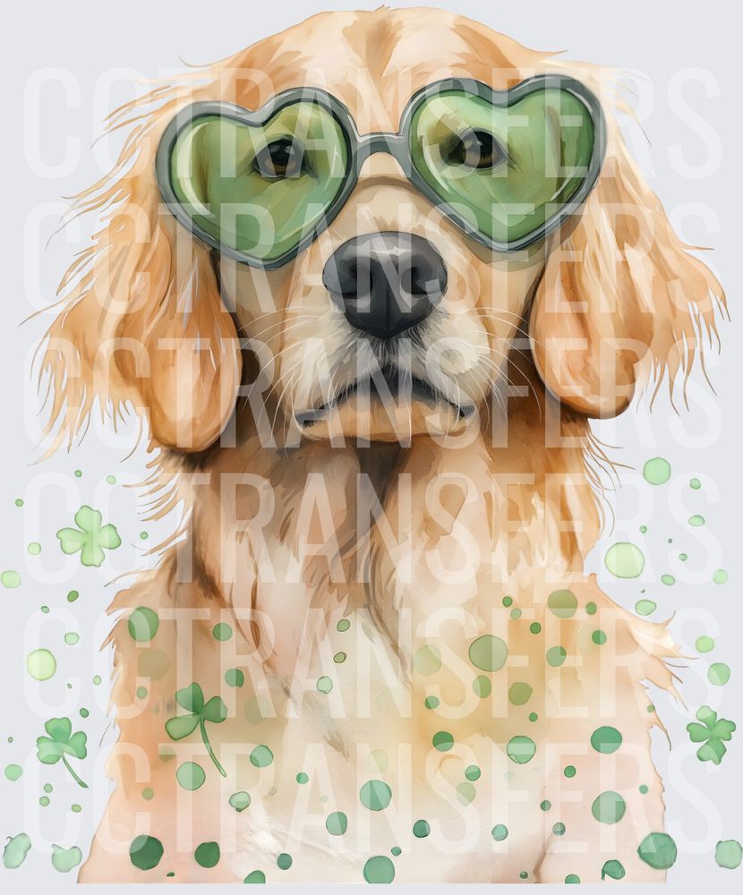 Watercolor Golden Retriever Green Heart Sunglasses Shamrocks (DTF)
