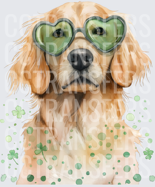 Watercolor Golden Retriever Green Heart Sunglasses Shamrocks (DTF)