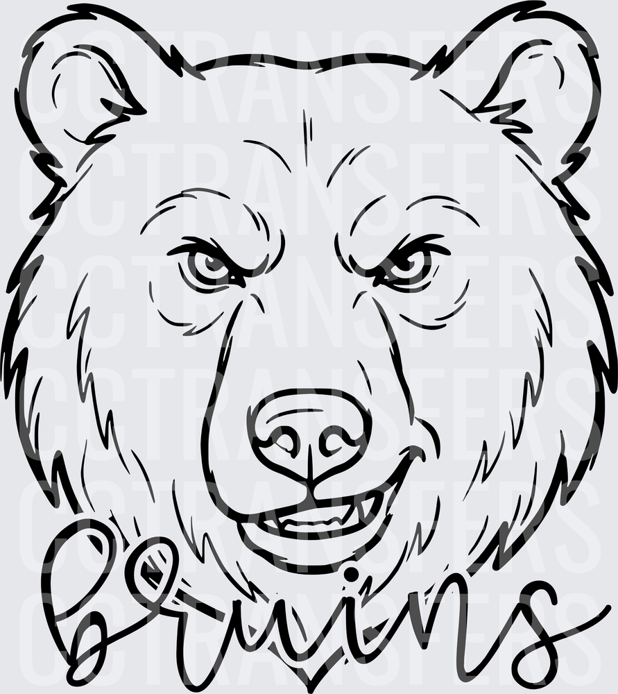 Fierce Bear Face Bruins Script Lettering (DTF)