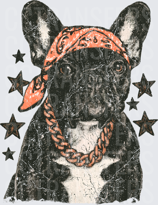 Grunge French Bulldog Bandana Chain Stars (DTF)