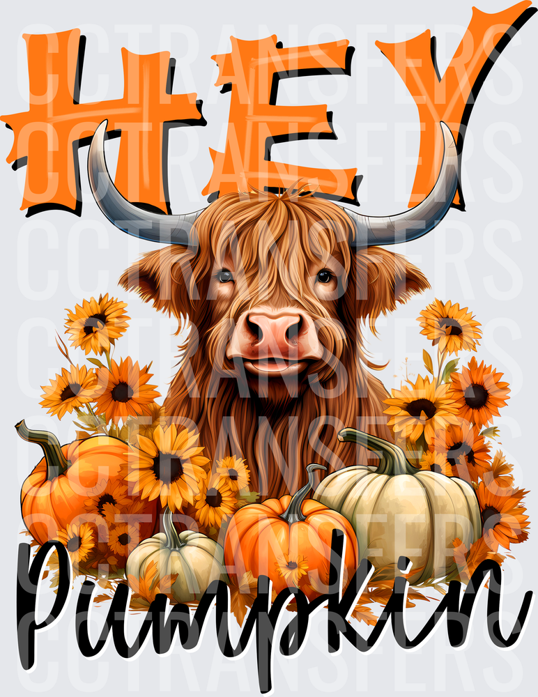 Hey Pumpkin Highland Cow Sunflowers Fall (DTF)
