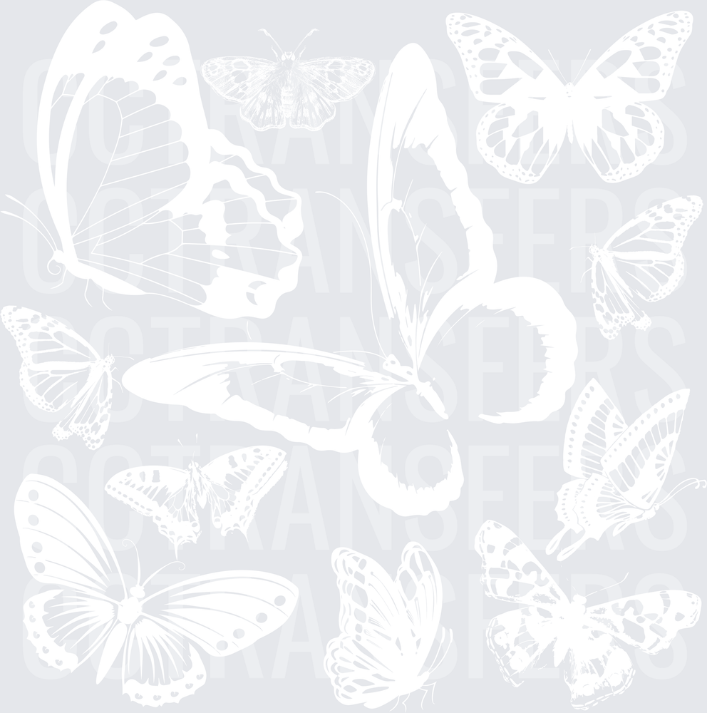 Blank White Design (DTF)