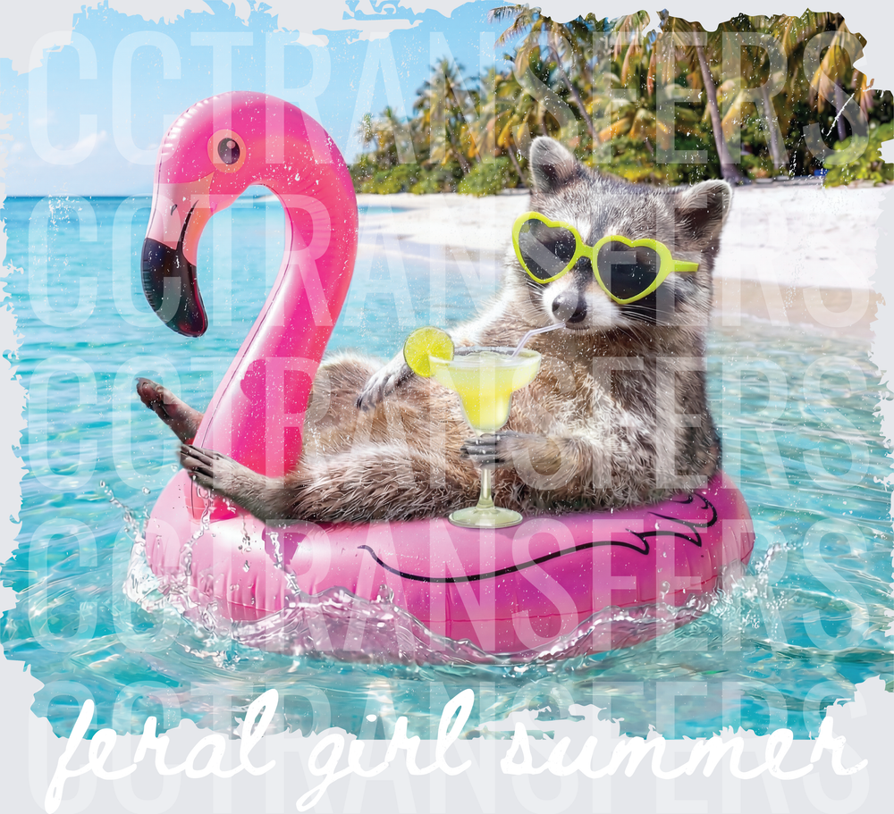 Raccoon in Heart Sunglasses on Flamingo Float with Margarita (DTF)