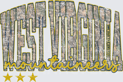 West Virginia Mountaineers Camo Distressed Stars (DTF)