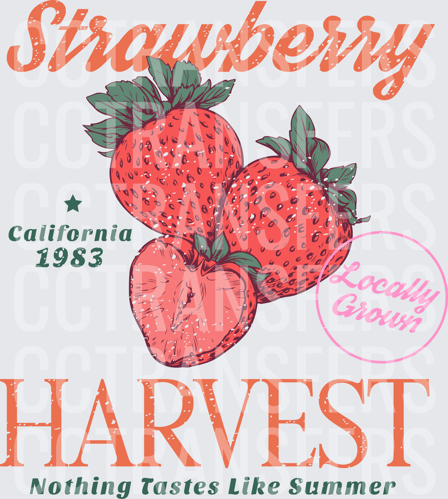 Strawberry Harvest California 1983 Locally Grown (DTF)