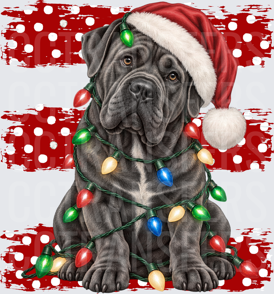 Gray Mastiff Santa Hat Wrapped in Christmas Lights (DTF)