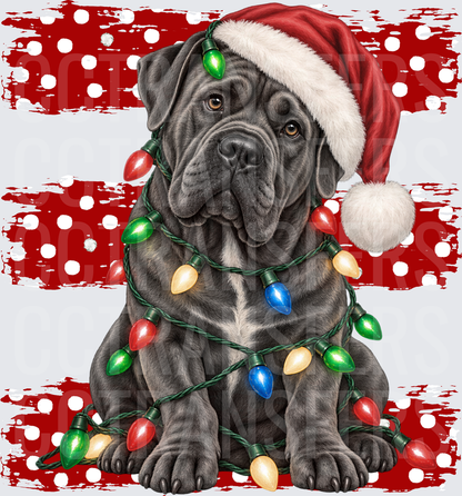 Gray Mastiff Santa Hat Wrapped in Christmas Lights (DTF)
