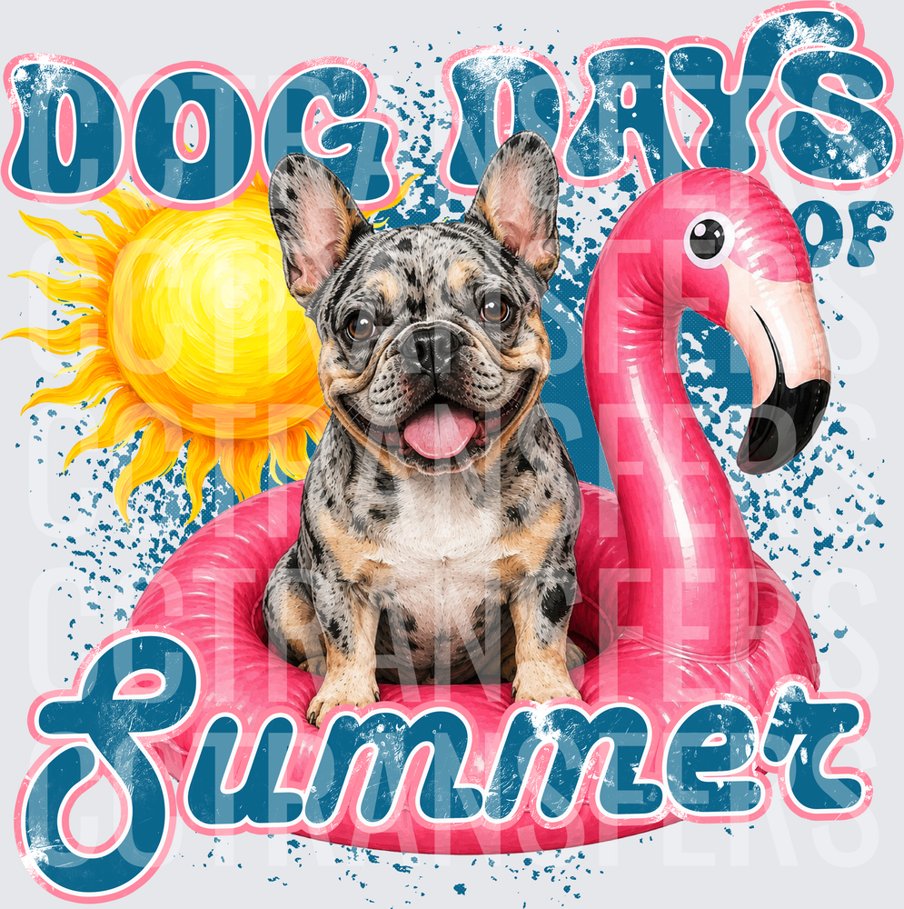 Dog Days of Summer Merle Frenchie Flamingo Float (DTF)