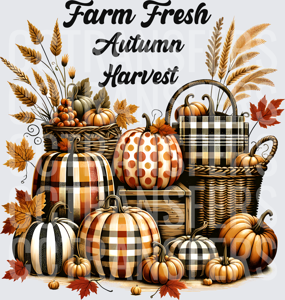 Farm Fresh Autumn Harvest Plaid Pumpkins Baskets (DTF)