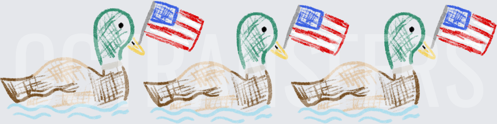 Patriotic Mallard Ducks Floating with American Flags (DTF)