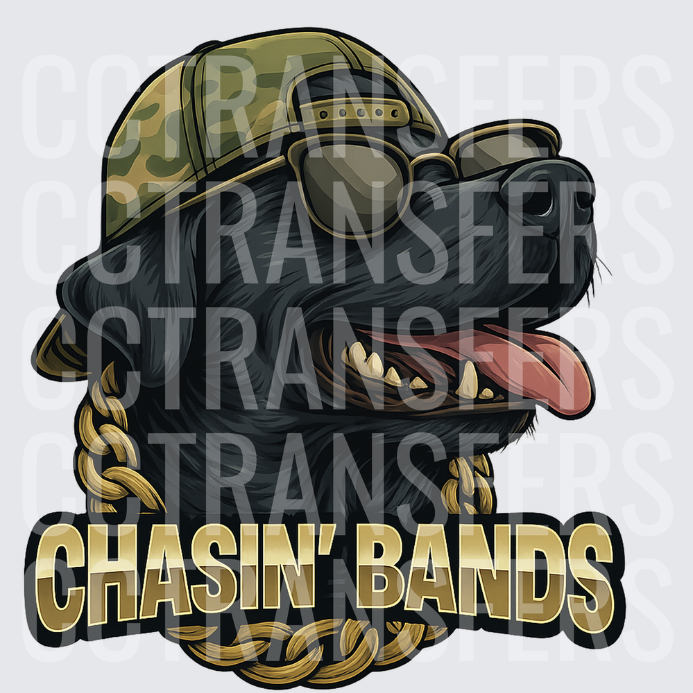 Chasin' Bands Cool Black Lab Gold Chain Camo Hat (DTF)