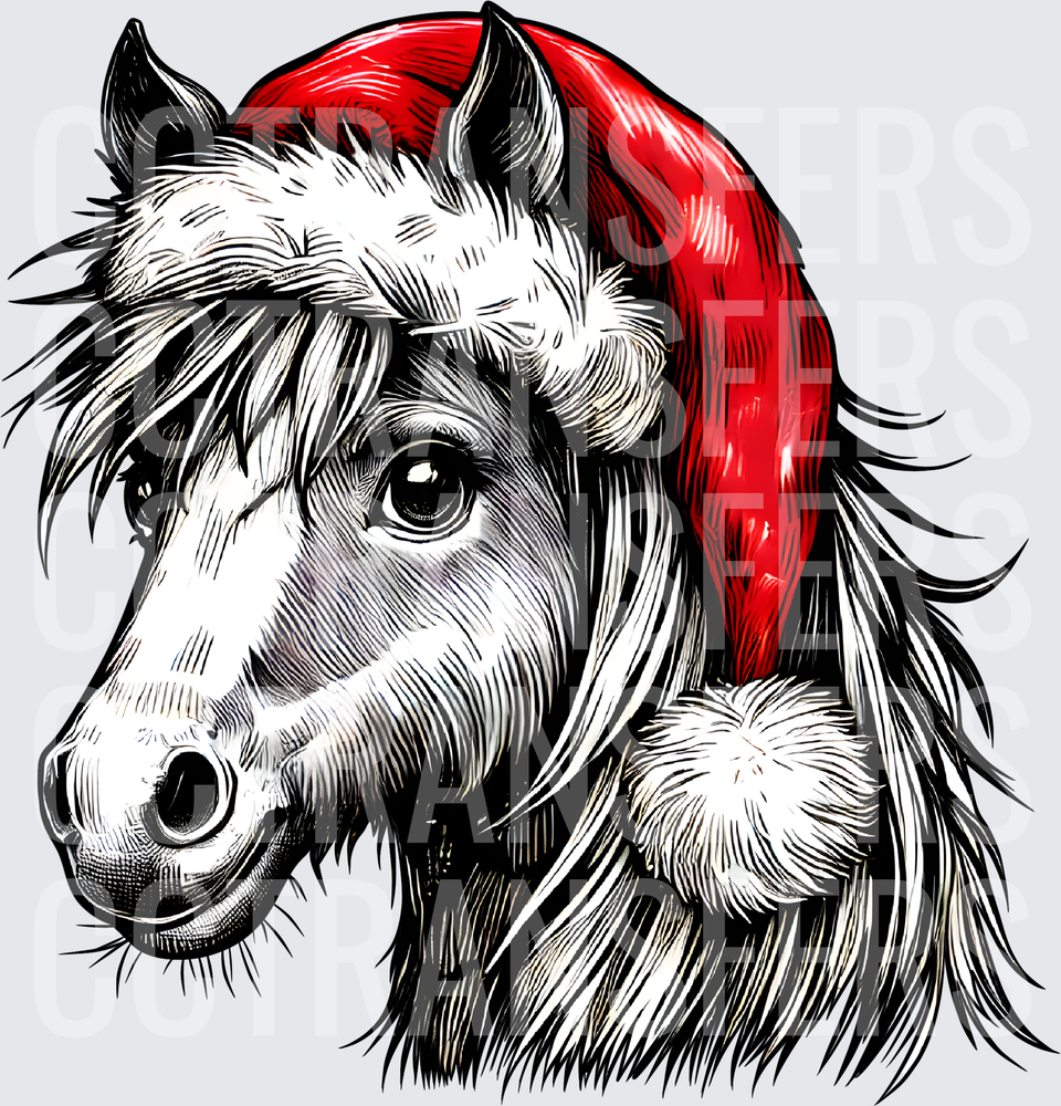 Shaggy Pony Portrait with Red Santa Hat Christmas (DTF)