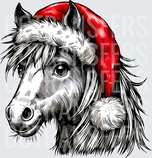 Shaggy Pony Portrait with Red Santa Hat Christmas (DTF)