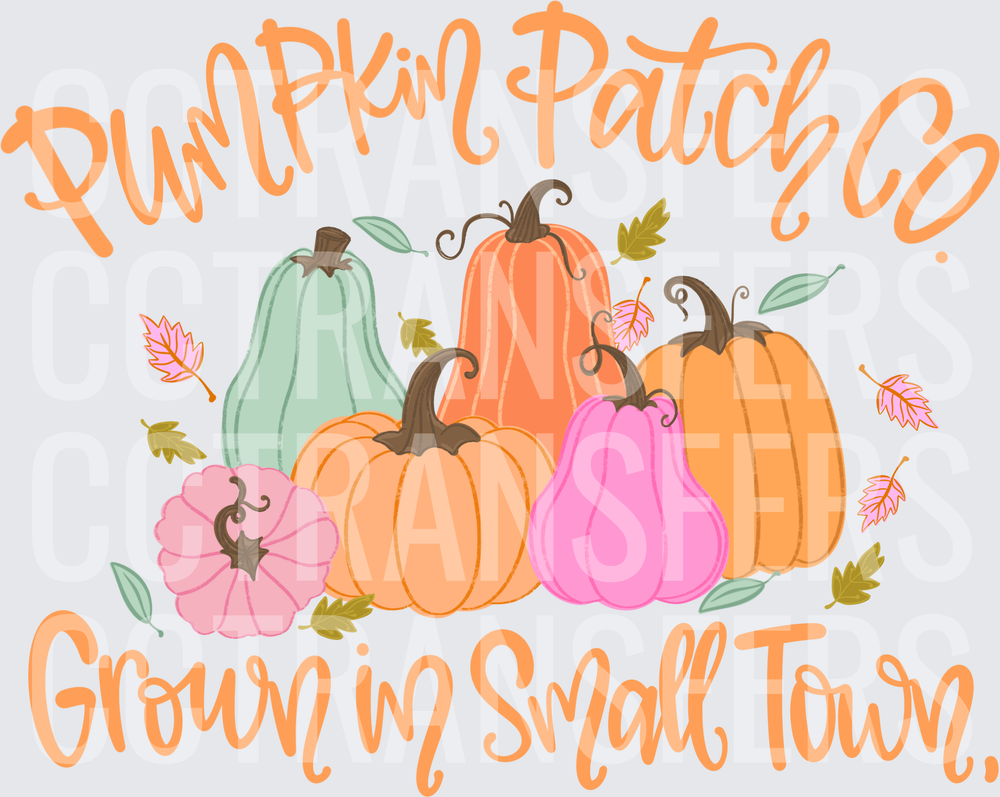 Pumpkin Patch Co Grown in Small Town Fall Pumpkins (DTF)