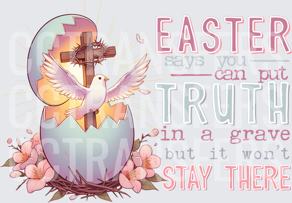 Easter Says You Can Put Truth In A Grave But It Won't Stay There Dove Cross Egg Floral (DTF)
