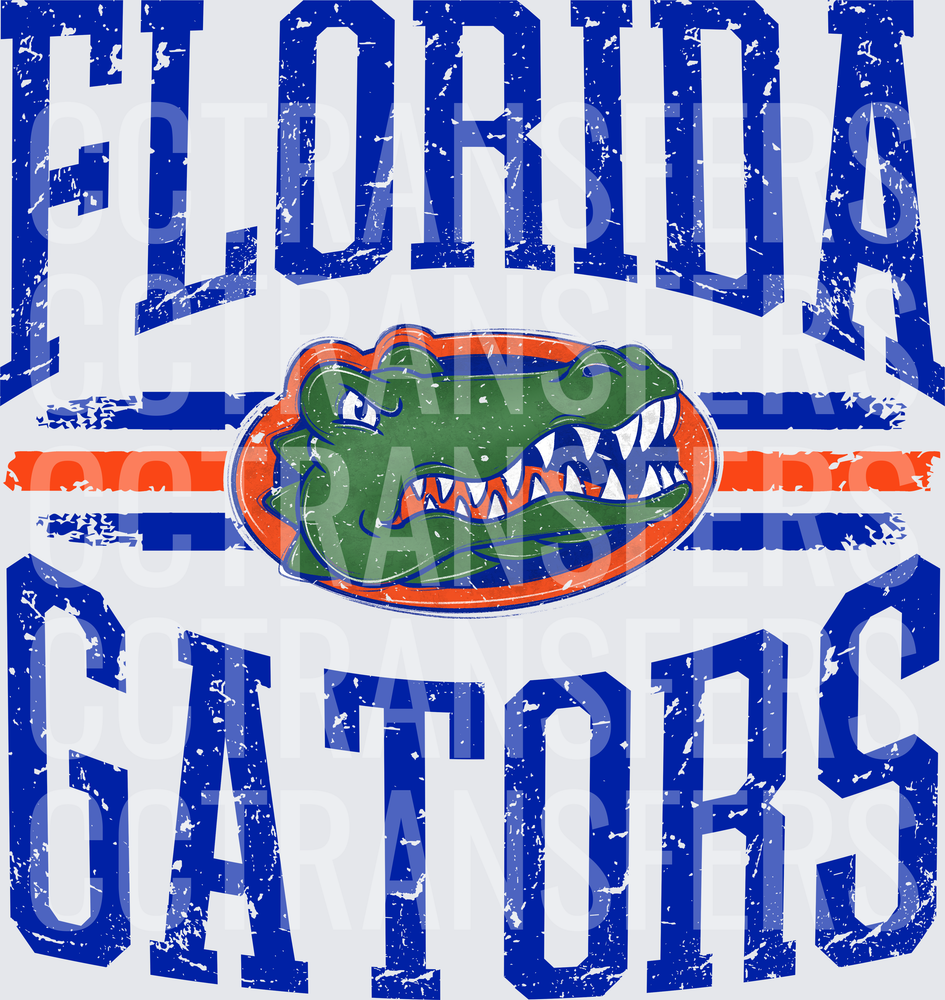 Distressed Gator Mascot Arched Varsity College Spirit (DTF)
