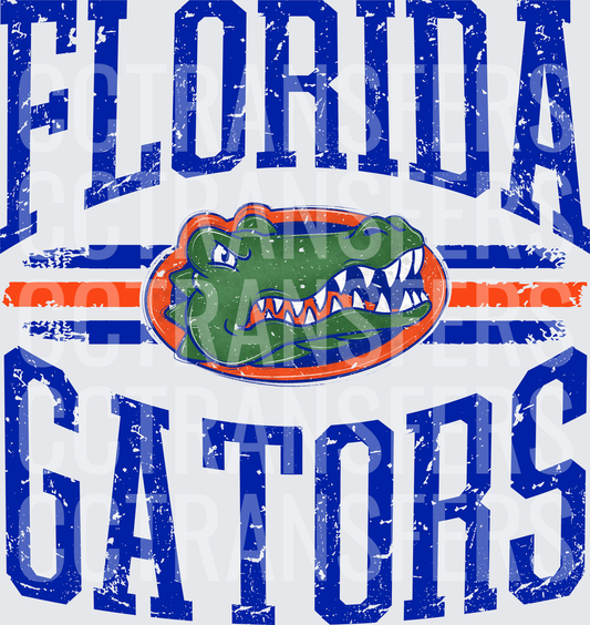 Distressed Gator Mascot Arched Varsity College Spirit (DTF)