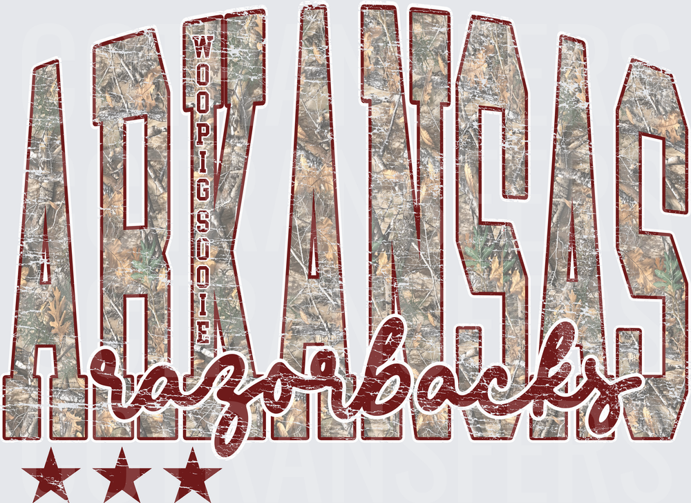Arkansas Razorbacks Camo Wooo Pig Sooie Stars (DTF)