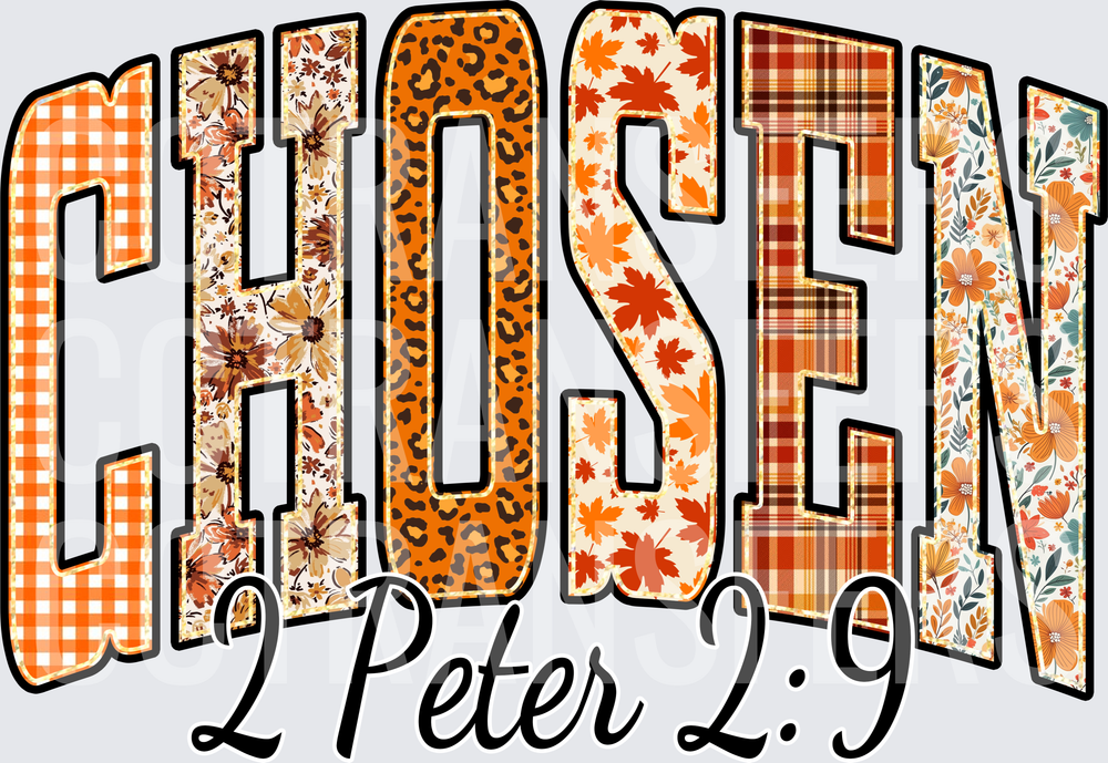 Chosen 1 Peter 2:9 Fall Patchwork Arch Letters (DTF)