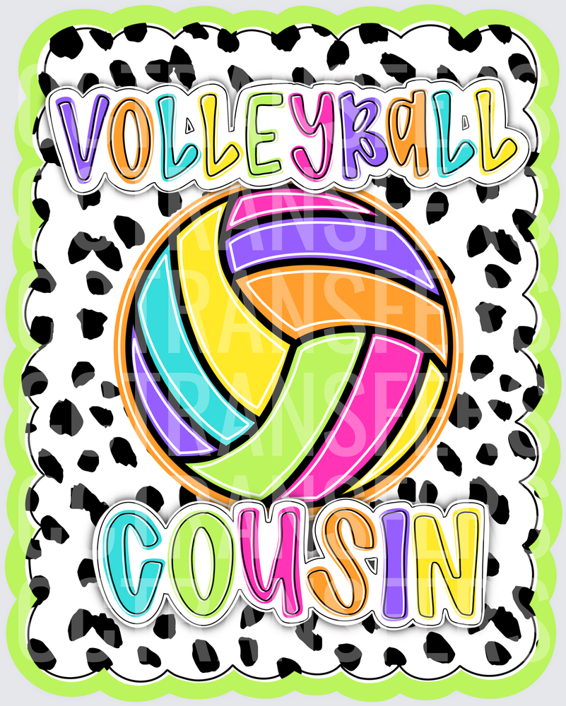 Volleyball Cousin Colorful Ball Dalmatian Print (DTF)